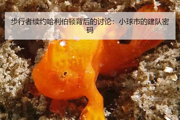 步行者续约哈利伯顿背后的讨论：小球市的建队密码