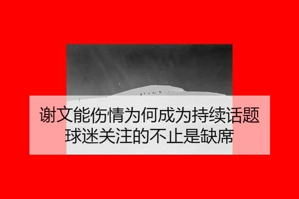 xie-wen-neng-shang-qing-wei-he-cheng-wei-chi-xu-hua-ti-qiu-mi-guan-zhu-de-bu-zhi-shi-que-xi-2-736.jpg